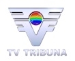 TV Tribuna